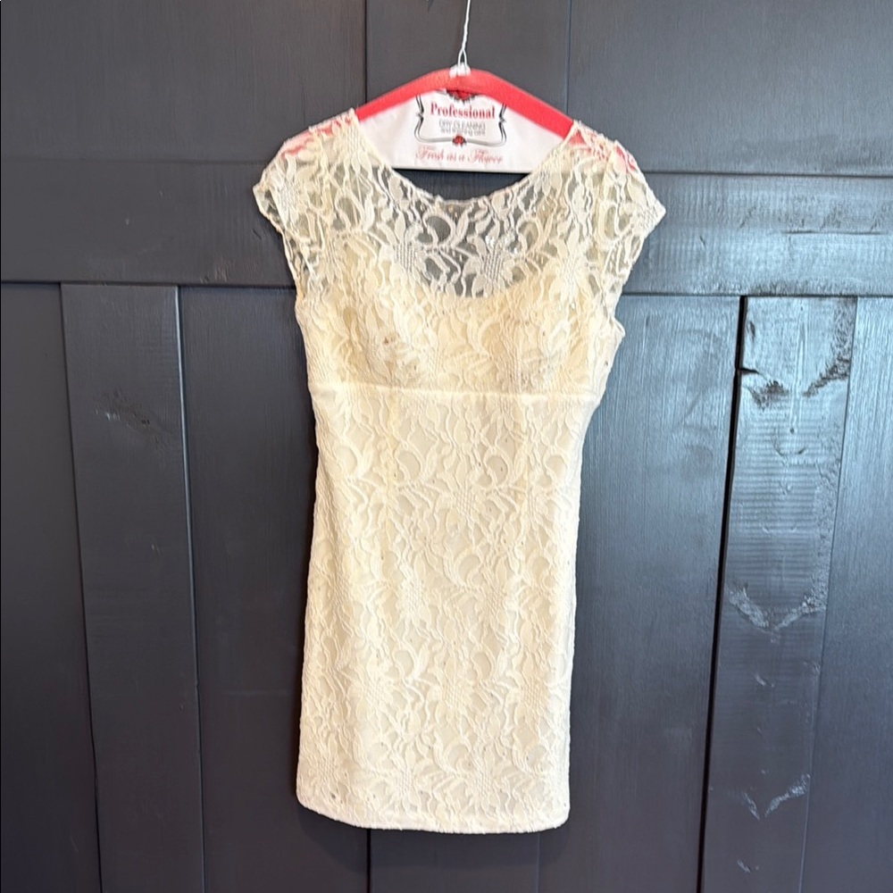 Elegant Cream Lace Dress